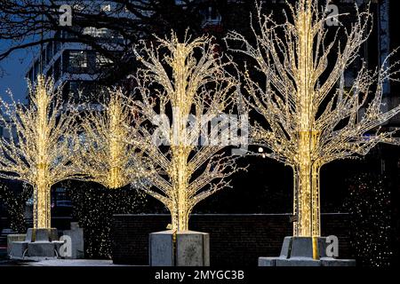 Lights of Wonder, Christmas Season Illuminations, Centennial Square, Victoria,  British Columbia, Canada Stock Photo