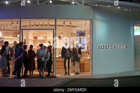 A Louis Vuitton store is seen at Taikoo Li Qiantan in the Qiantan
