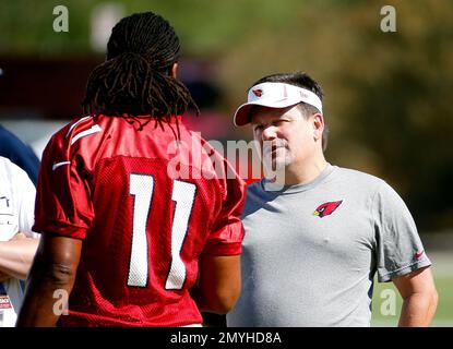 Arizona Cardinals President Michael Bidwill (R) chats with former St. Louis  Football Cardinals and Pro Football Hall of Famer Roger Wehrli before the  Arizona-St. Louis Rams football game at the Edward Jones