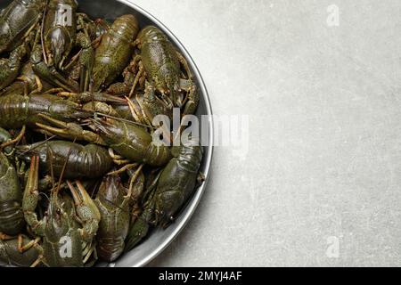Fresh raw crayfishes on grey table, top view. Space for text Stock Photo