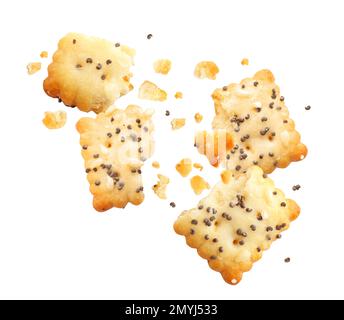 Crushed crackers and crumbs on white background Stock Photo
