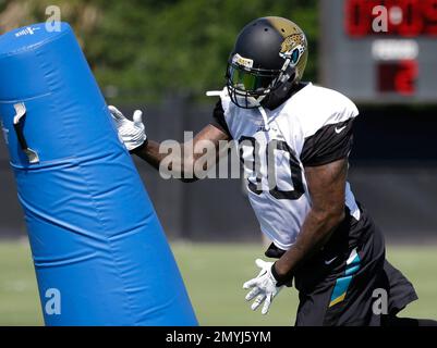 Jacksonville, FL, USA. 10th Dec, 2017. Jacksonville Jaguars defensive  tackle Malik Jackson (97) during the NFL football game between the Seattle  Seahawks and the Jacksonville Jaguars. Jacksonville defeated Seattle 30-24  at EverBank