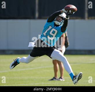 Cam Newton Finds Ted Ginn Jr. for BIG GAIN!, Panthers vs. Broncos