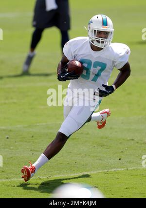 Miami Dolphins: Who is Rashawn Scott?