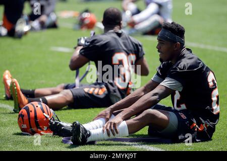 Cincinnati Bengals cornerback William Jackson (22) after an NFL football  preseason game between the Indianapolis Colts and the Cincinnati Bengals at  Paul Brown Stadium in Cincinnati, OH. Adam Lacy/CSM Stock Photo 