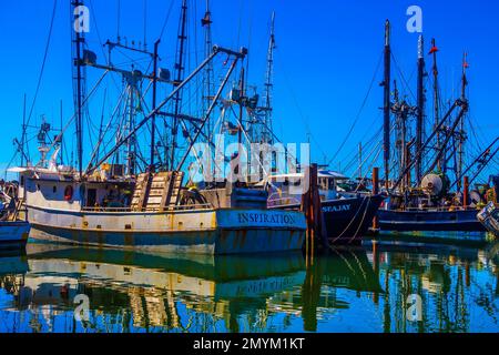 Fishing Fleet In Harbor Stock Photo