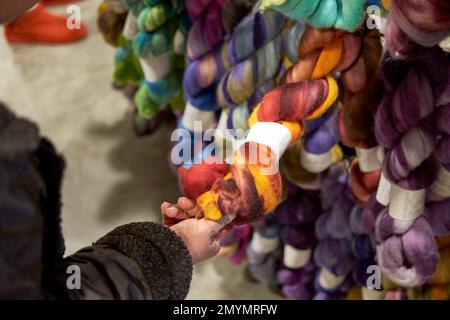 A crafter chooses a multicolored wool yarn from the many skeins on a display rack. Stock Photo