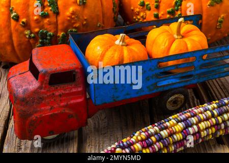 Toy Truck And Punkins Stock Photo
