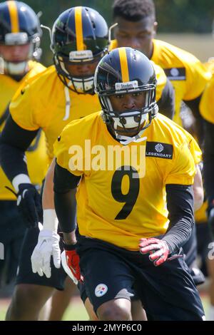 Pittsburgh Steelers safety Donald Washington (9) during NFL football rookie  minicamp, Saturday, May 7, 2016 in Pittsburgh. (AP Photo/Keith Srakocic  Stock Photo - Alamy