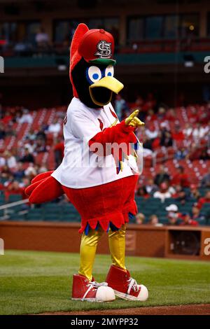 St. Louis Cardinals mascot Fredbird helps carry baggage from the