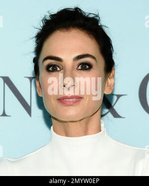 Tiffany & Co. Design Director, Francesca Amfitheatrof attends the