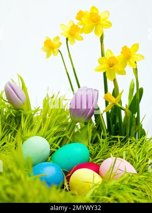 What eggs look like in a fairy tale. Some colorful easter eggs lying in some grass. Stock Photo
