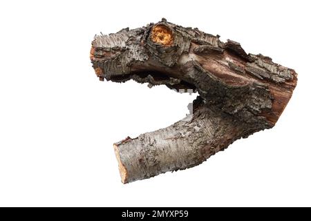 cut down old cherry log on a white background Stock Photo