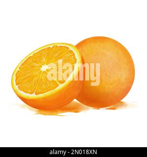 Oranges composition in watercolor. Fresh bright cut oranges in juicy drops. Design element isolated on white background. Stock Vector