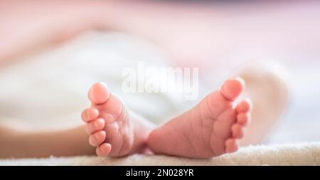 New Born Baby Feet on White Blanket Stock Photo