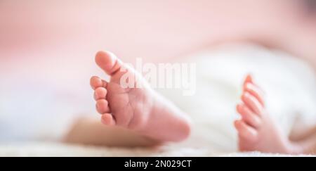 New Born Baby Feet on White Blanket Stock Photo