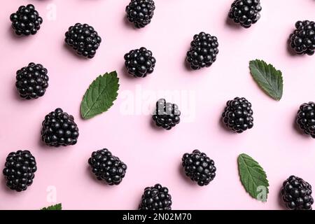 Tasty ripe blackberries and leaves on light pink background, flat lay Stock Photo