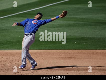 Chicago Cubs Addison Russell makes a catch on a pop up off the bat of St.  Louis Cardinals Magneuris Sierra while Javier Baez waits as a backup in the  sixth inning at