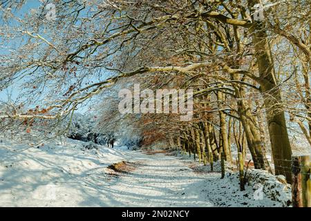 Snow covered hills and wintery scenes on Cleeve Hill, Gloucestershire Stock Photo