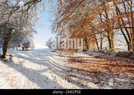 Snow covered hills and wintery scenes on Cleeve Hill, Gloucestershire Stock Photo