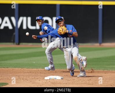 Munenori Kawasaki Cubs Mlb Munenori Kawasaki Editorial Stock Photo