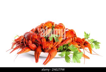 Plate with delicious boiled crayfishes on isolated white Stock Photo