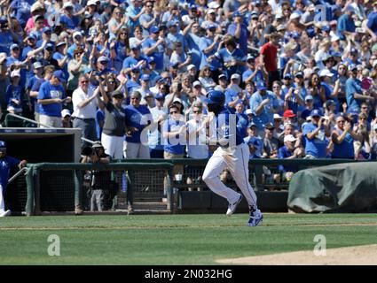 MLB Spring Training: K.C. Royals' Lorenzo Cain hiding, thriving in plain  sight in Norman