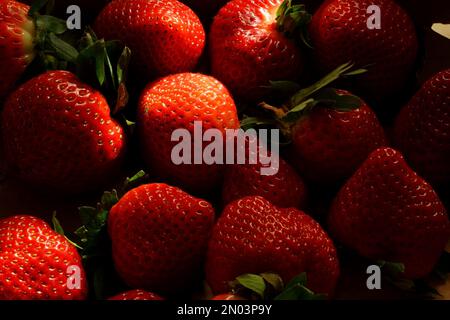 many strawberries in the shadow Stock Photo