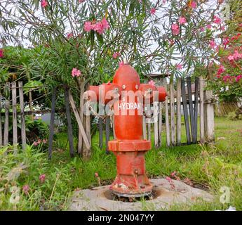 Bright red hydrant on the side of the road with a background of bamboo fences and pink flowering plants. Stock Photo