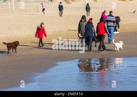 Sandbanks, Poole, Dorset UK. 5th February 2023. UK weather: sunshine at Sandbanks beach in Dorset, as visitors head to  the seaside for some exercise, fresh air and to enjoy the sunshine.  Credit: Carolyn Jenkins/Alamy Live News Stock Photo