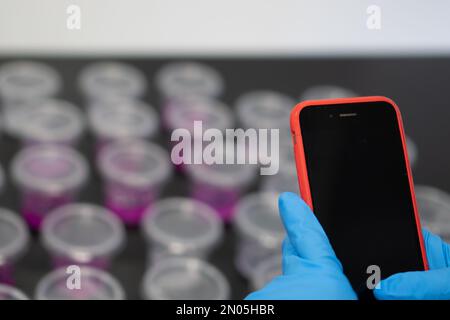 Close-up of anonymous woman using her phone in the laboratory Stock Photo