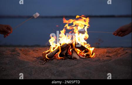 People roasting marshmallows over burning firewood on beach, closeup Stock Photo