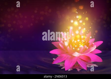 Fantastic lotus flower with sparks on water surface, bokeh effect Stock Photo