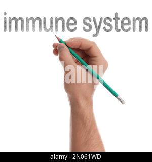 Man writing text Immune System on white background, closeup Stock Photo