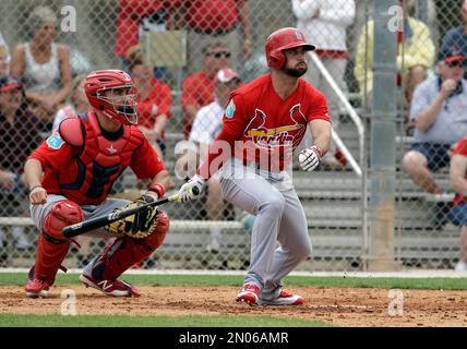 Game-Used Jersey - 2016 Spring Training - Cardinals - 4/14/2016 - Jedd  Gyorko