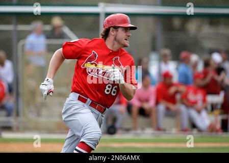 St. Louis Cardinals Patrick Wisdom (R) and Yairo Munoz rip the