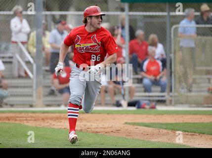 St. Louis Cardinals Patrick Wisdom (R) and Yairo Munoz rip the