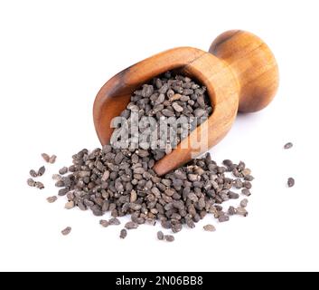 Borage seeds in wooden scoop, isolated on a white background. Borago officinalis seeds Stock Photo