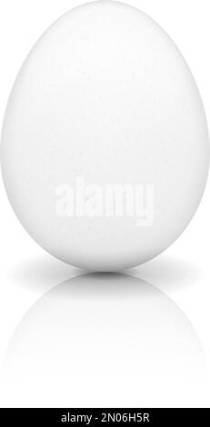 White egg with reflection on white background, vector eps10 illustration Stock Vector