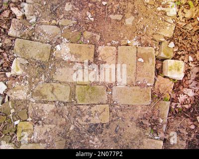 Close up of frost on reclaimed antique brick path in beautiful rural country organic garden on leaves moss lichen and grass on ground Stock Photo