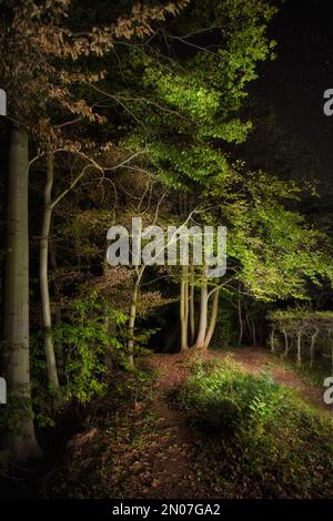 Painterly night scene in a park, with the trees illuminated in a pleasing, artistic way Stock Photo