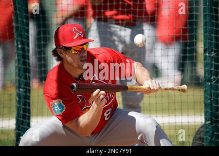 St. Louis Cardinals Patrick Wisdom (R) and Yairo Munoz rip the