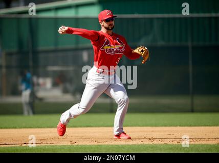 Game-Used Jersey - 2016 Spring Training - Cardinals - 4/14/2016 - Jedd  Gyorko