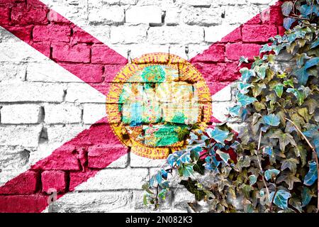 Florida grunge flag on brick wall with ivy plant, country symbol concept Stock Photo