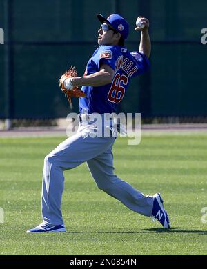 Chicago Cubs' Munenori Kawasaki in action during a spring training