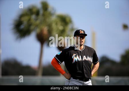 Game-Used Jersey: Giancarlo Stanton 2017 Spring Training Jersey