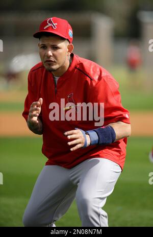 St. Louis Cardinals' Brayan Pena prepares to take batting practice during  spring training baseball practice Thursday, Feb. 18, 2016, in Jupiter, Fla.  (AP Photo/Jeff Roberson Stock Photo - Alamy