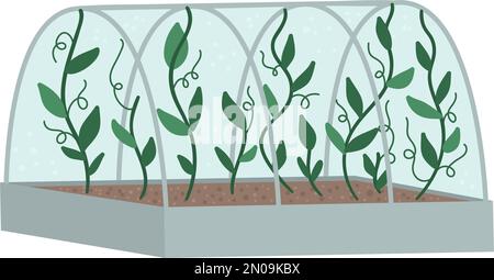 Vector greenhouse with green climbing plants. Flat hot house illustration isolated on white background. Side view greenroom picture. Spring garden ill Stock Vector