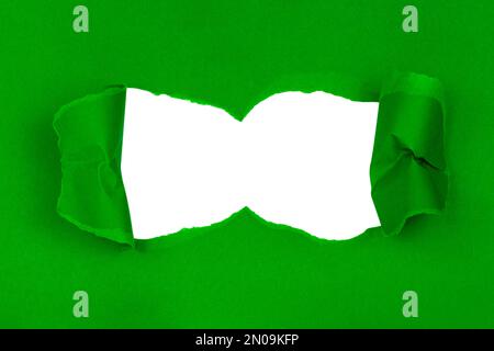 Green torn sheet of paper with whole space for text Stock Photo