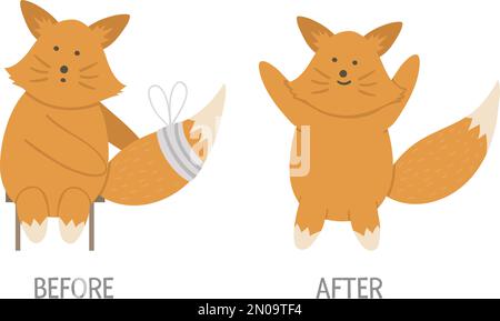 Vector ill animal versus healthy. Cute fox with bandage on its tail. Funny patient characters. Medical illustration for children. Before and after ill Stock Vector